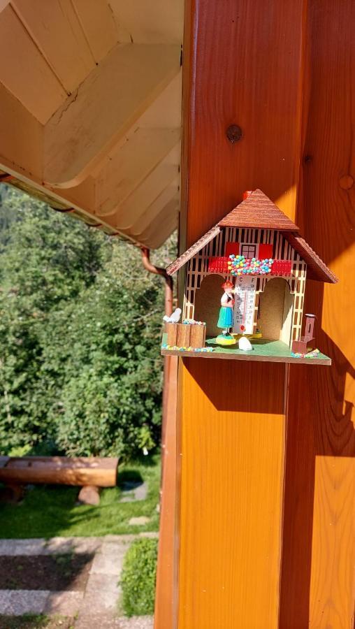 Ferienhaus Barbey St. Blasien Exterior foto