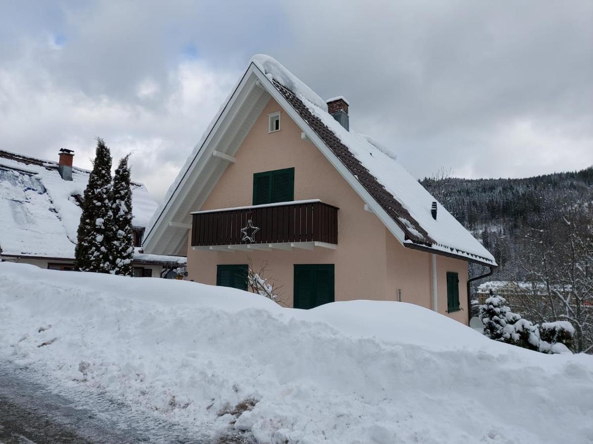 Ferienhaus Barbey St. Blasien Exterior foto