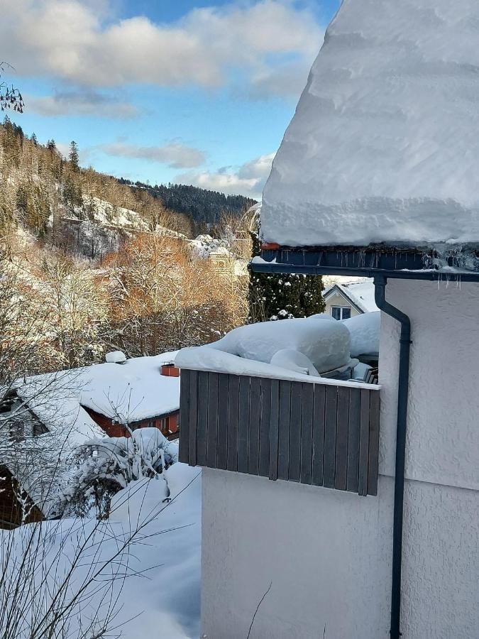 Ferienhaus Barbey St. Blasien Exterior foto