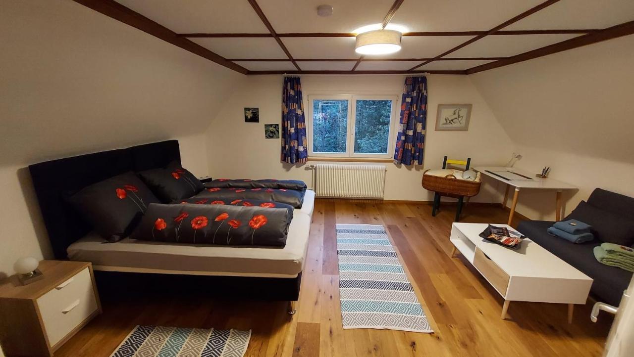 Ferienhaus Barbey St. Blasien Exterior foto