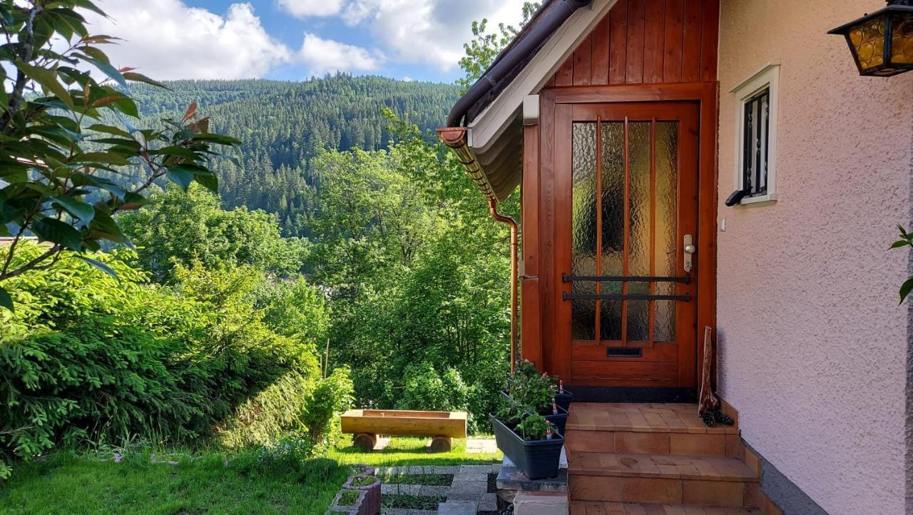 Ferienhaus Barbey St. Blasien Exterior foto
